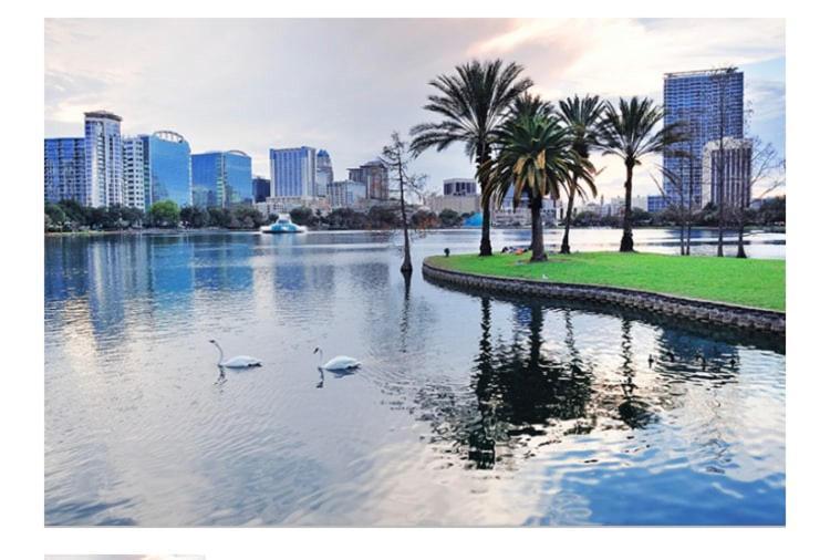 College Park-Orlando 5Star Villa Oasis - Home Away From Home - Quiet Neighborhood-Private Botanical Courtyard - Mins From Eola,Dt, Winter Park - Free Parking & Ev Plug In Экстерьер фото